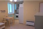 Apartment Krivova 9