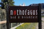 Nothofagus Bed & Breakfast