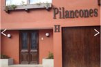 Hotel Pilancones