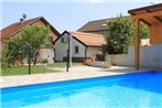 Family friendly apartments with a swimming pool Grabovac