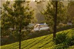 Munnar valley view