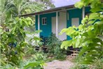 Rustic cabin short forest walk to Winifred beach