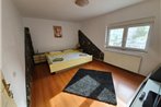 Apartament Dacul