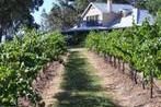 Spicers Vineyards Estate