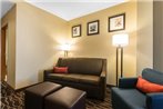 Comfort Suites Tampa Airport North