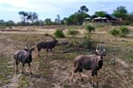 Bateleur's Nest Lodge