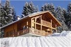 Sunny Chalet in Les Gets with Jacuzzi