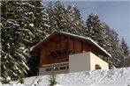 Gorgeous Chalet on Mountain Slopes in Les Gets