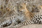 Leopard Spotting Camp - Yala