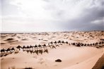 Camel Desert Camp