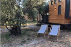 Modern Tiny House Surrounded by Olive Grove near Beach in Ayvacik