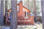Cottage in the Pines by Big Bear Cool Cabins