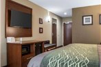 Comfort Inn & Suites Pittsburgh