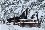 Dog Friendly Into the Woods Cabin by AAA Red Lodge Rentals